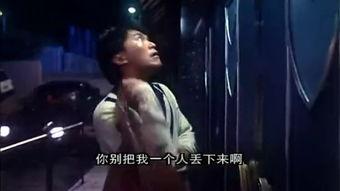 1991情圣在线观看,重温经典，在线重温激情岁月  第3张